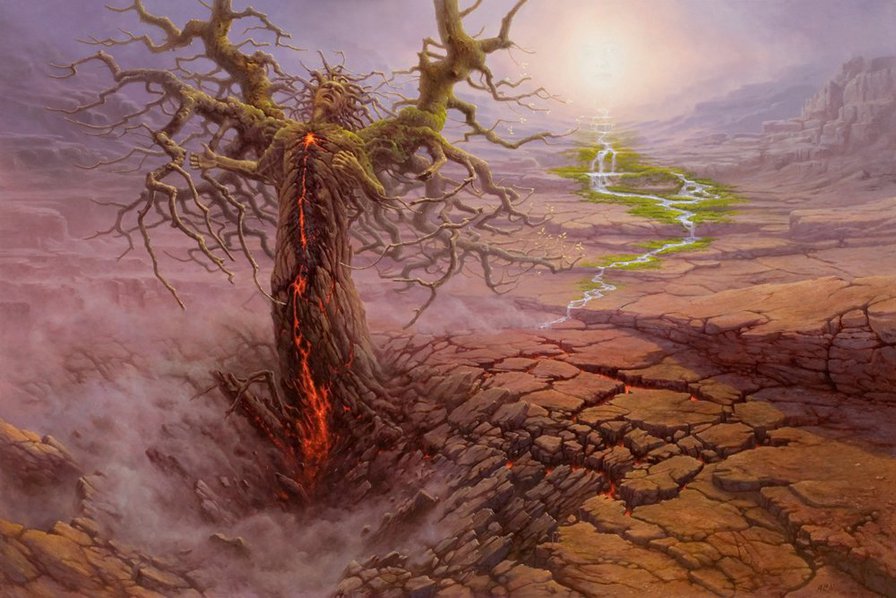 Drzewo - оригинал