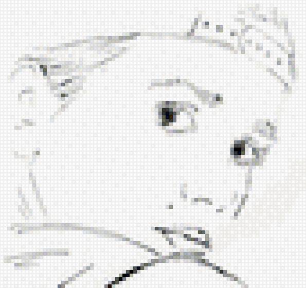 челитто - дикий ангел, наталия орейро - предпросмотр