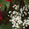 Предпросмотр схемы вышивки «букет роз» (№826057)