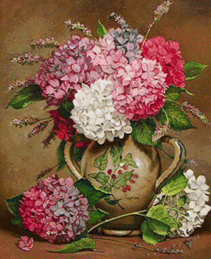 гортензия - предпросмотр