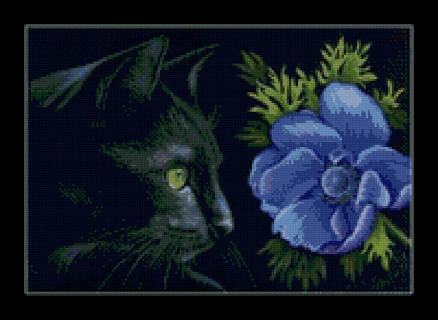 котейка - природа кошка, кот, цветок, ночь - предпросмотр