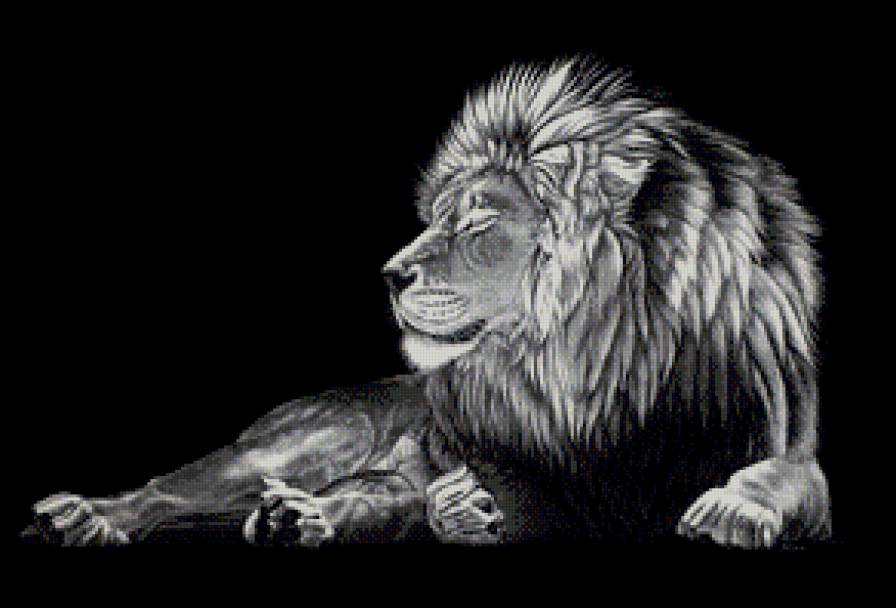 царь зверей - король, лев, природа, кошачьи, царь - предпросмотр