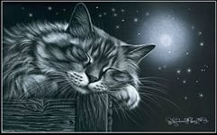 котейка - природа кошка, кот, ночь, луна забор - оригинал