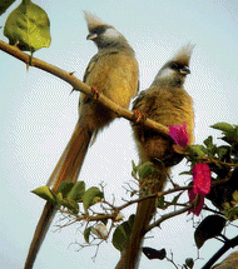 №826201 - предпросмотр