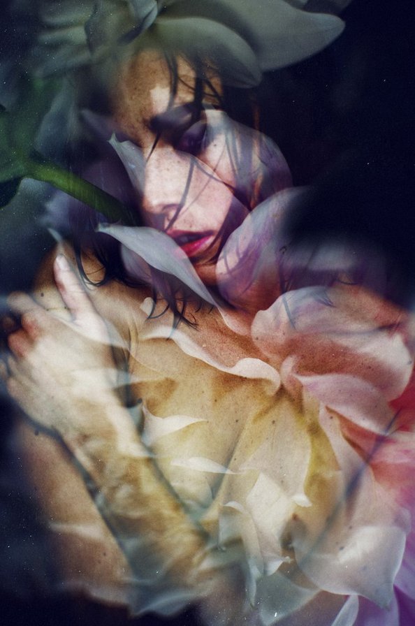 цветок - оригинал