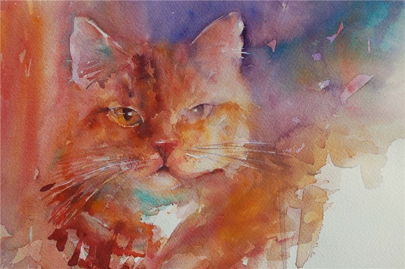 Акварельный кот - кошки, акварель - оригинал