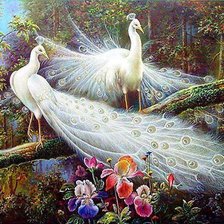 Схема вышивки «райские птицы»