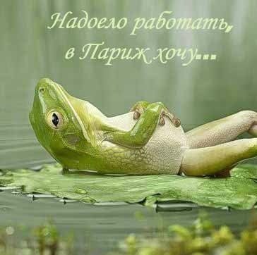 мечта - лягушка - оригинал