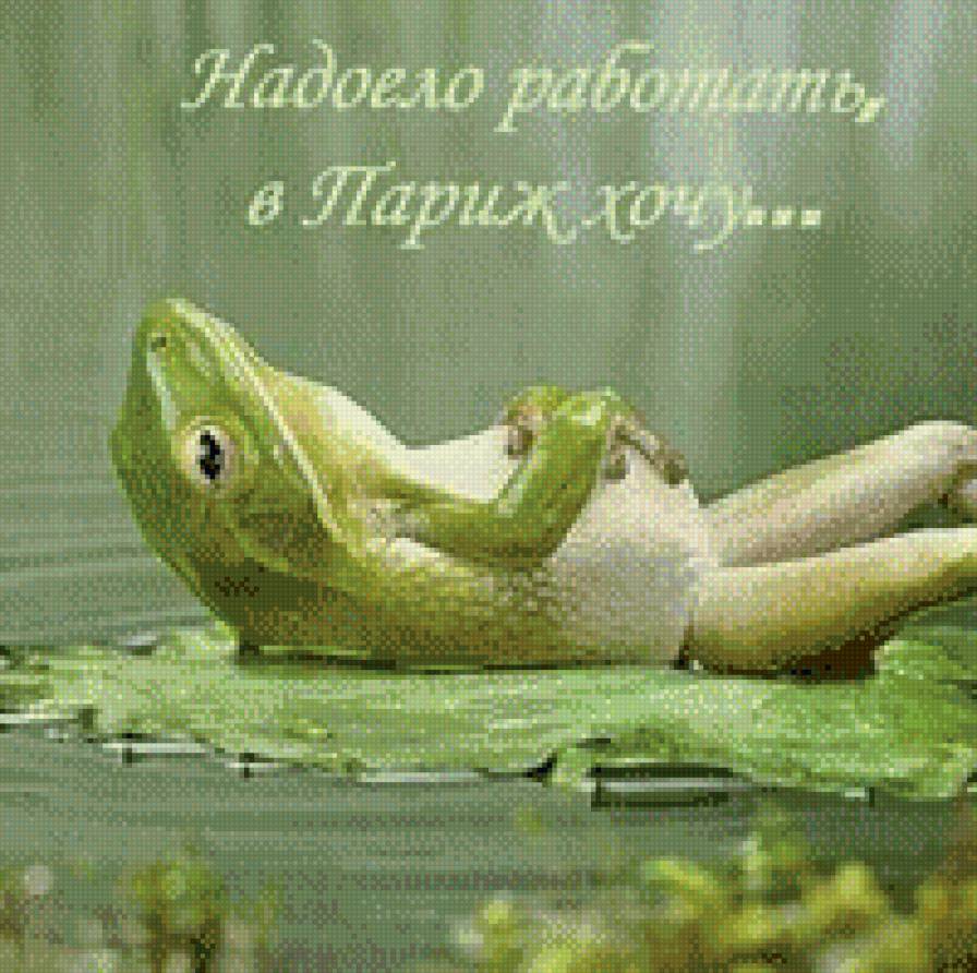 мечта - лягушка - предпросмотр