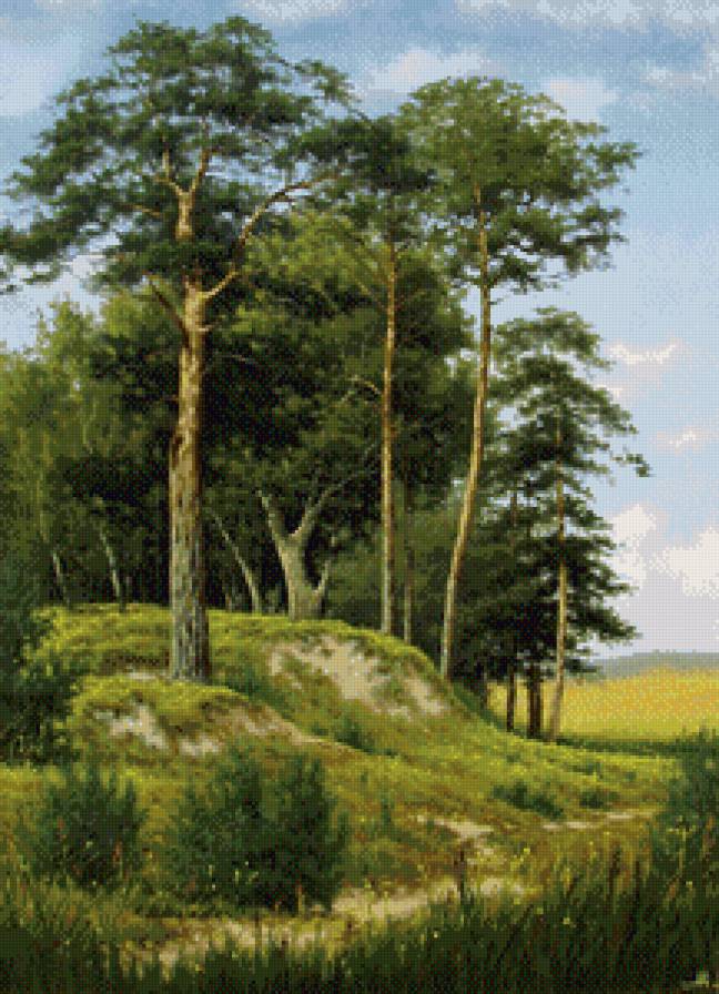 сосны - природа, пейзаж - предпросмотр