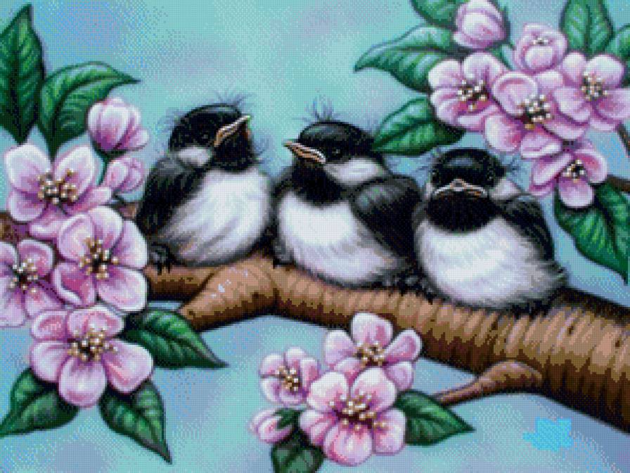 Птенцы - птичка, цветы, птицы, ветка - предпросмотр