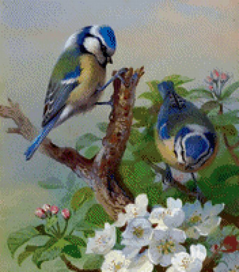 Птахи - предпросмотр