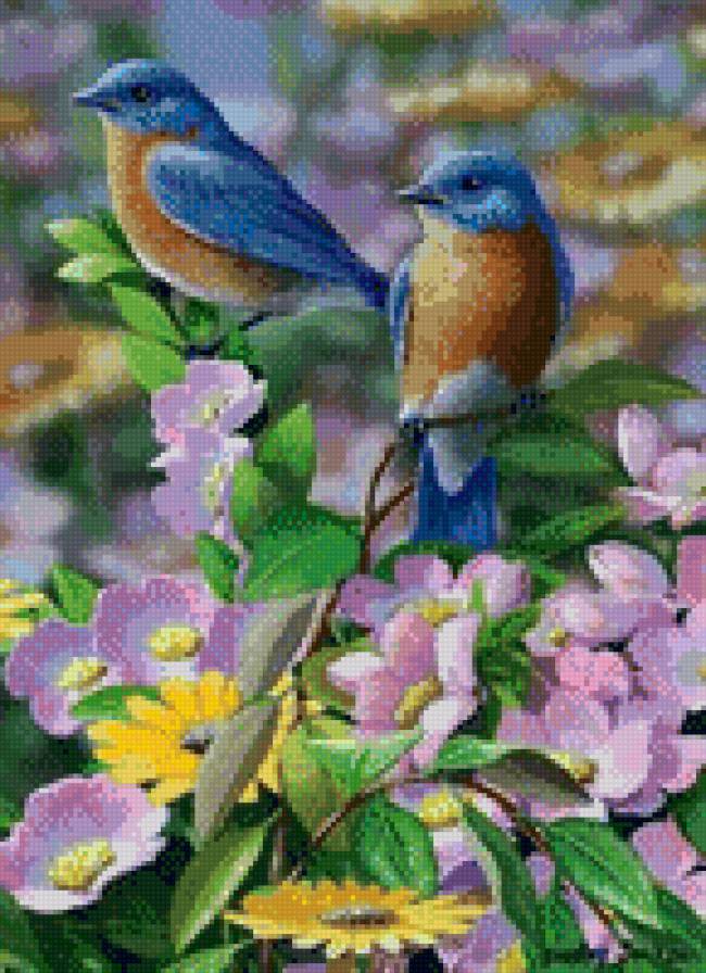 Пташки - предпросмотр