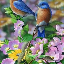 Схема вышивки «Пташки»