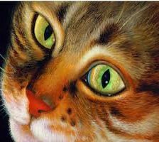 Схема вышивки «№827087»