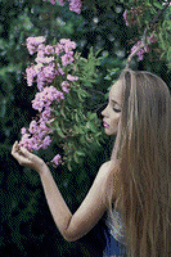 девушка - девушка, цветы, ливадия - предпросмотр