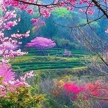 Схема вышивки «Весна»