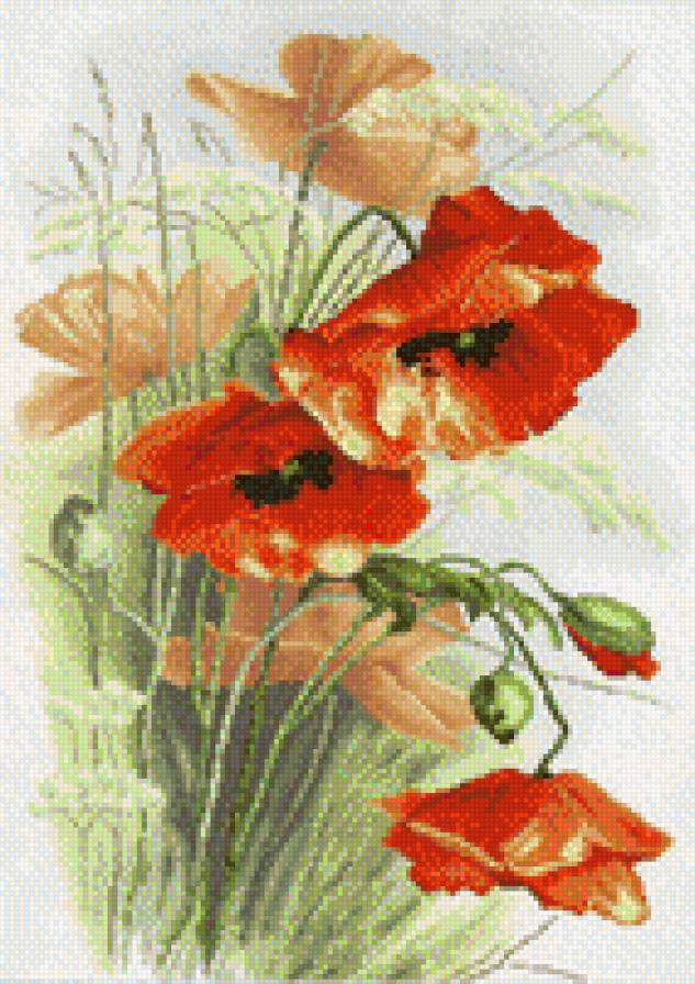 maki - предпросмотр