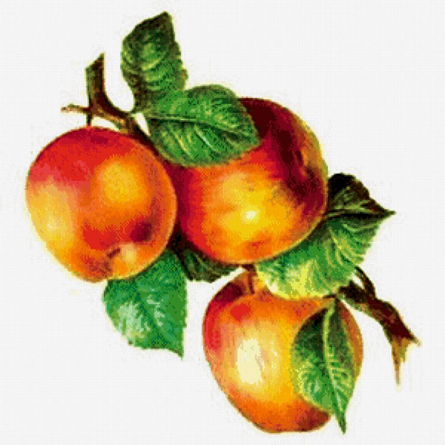 №827617 - предпросмотр