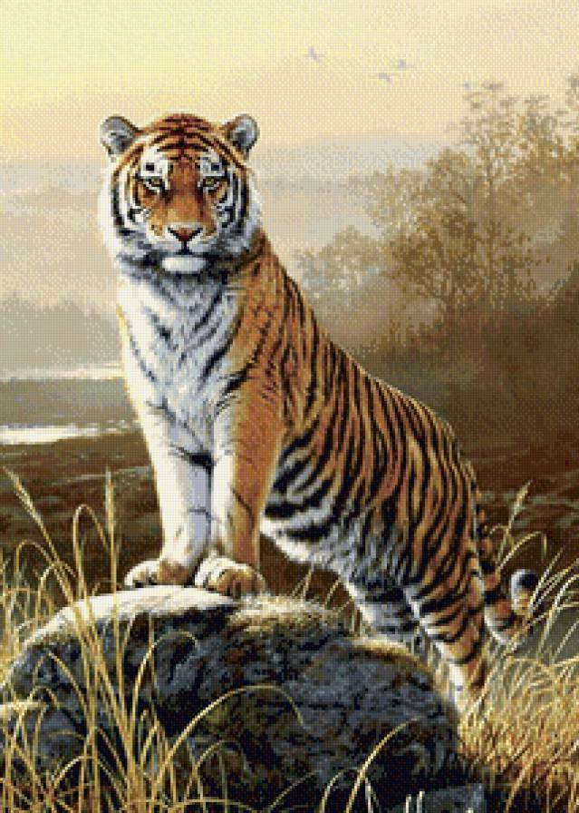 №827645 - предпросмотр