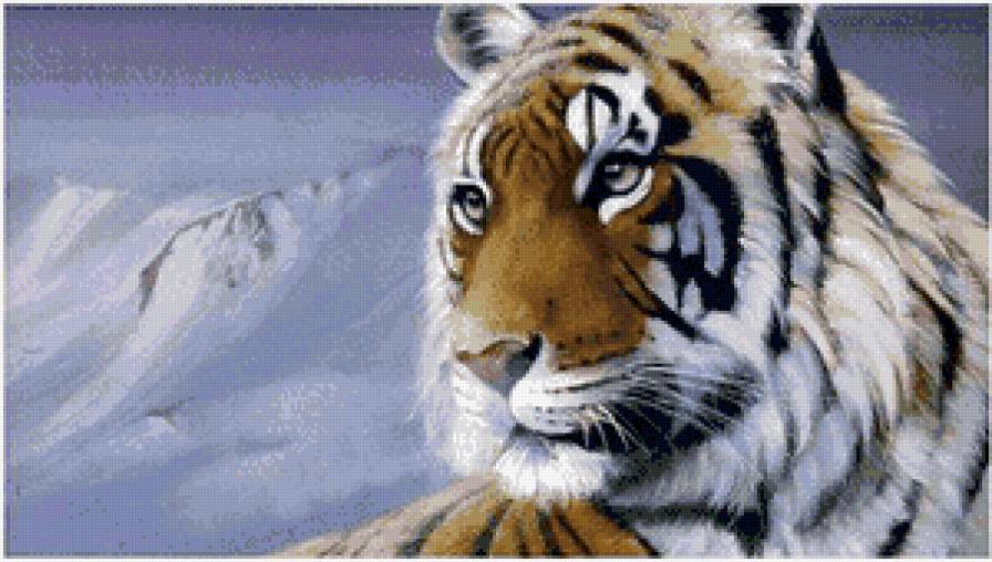 тигр - тигр, дикие животные - предпросмотр