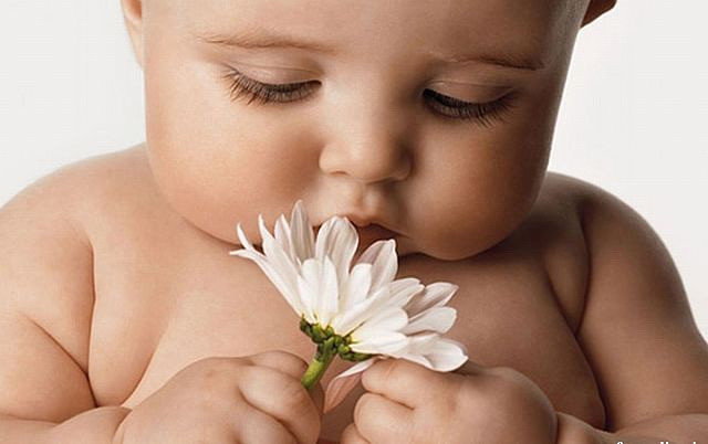 Малыш и ромашки - дети - оригинал