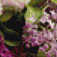 Предпросмотр схемы вышивки «букет сирени» (№827927)