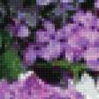 Предпросмотр схемы вышивки «сирень» (№827937)