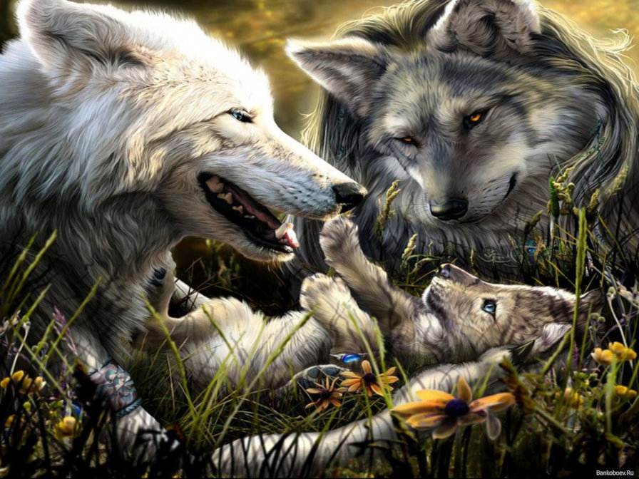 Волки - семья, животные, звери, волки, оберег - оригинал