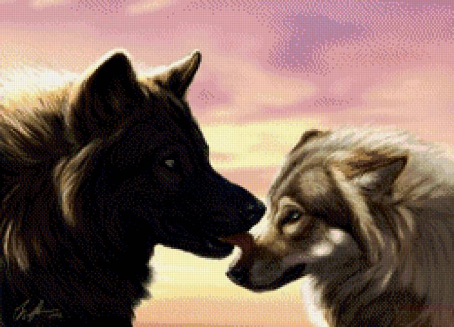 Покрность - покорность, волки, природа, животные, любовь - предпросмотр