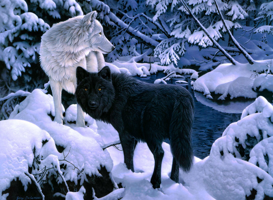 ЧерноБелое - лес, природа, зима, животные, волки - оригинал