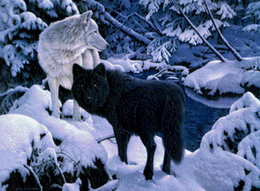 ЧерноБелое - лес, животные, природа, волки, зима - предпросмотр
