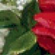 Предпросмотр схемы вышивки «красные розы и белая сирень» (№828535)