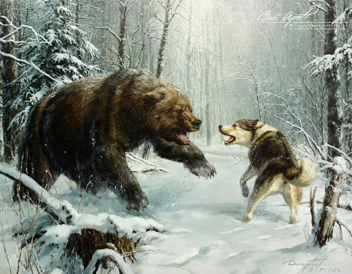охота - охота, природа, лайка, медведь - оригинал