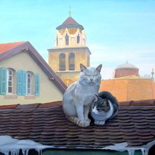 пристроились