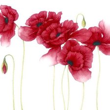 Схема вышивки «1»