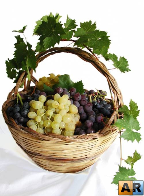 №829053 - оригинал