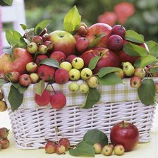 Схема вышивки «№829058»