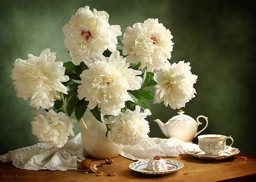 пионы - оригинал