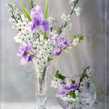 Схема вышивки «№829271»