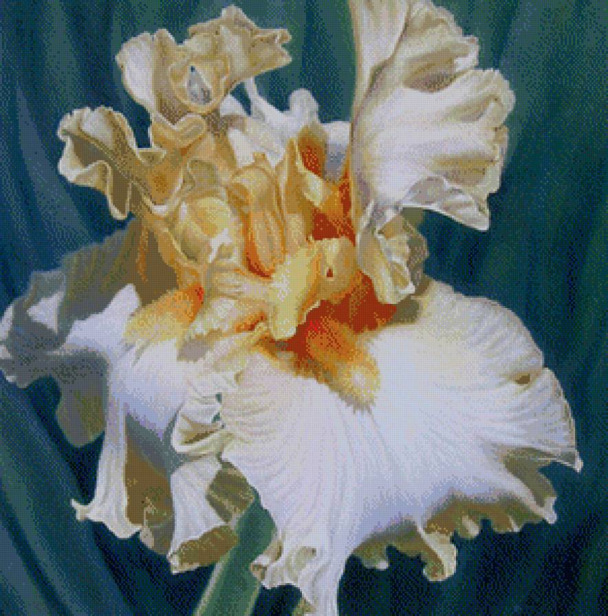 №829284 - предпросмотр