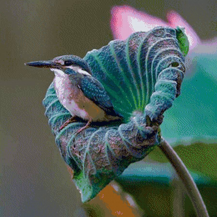 Зимородок в лотосах. - птичка, элегантность, зимородок - предпросмотр