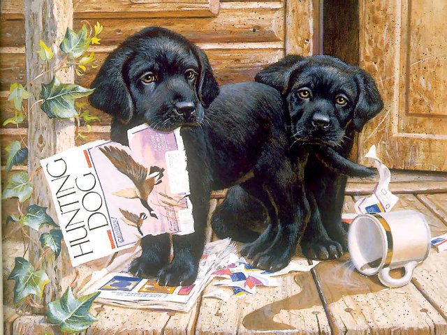 щенки - животные - оригинал