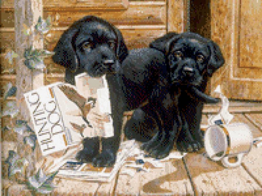 щенки - животные - предпросмотр