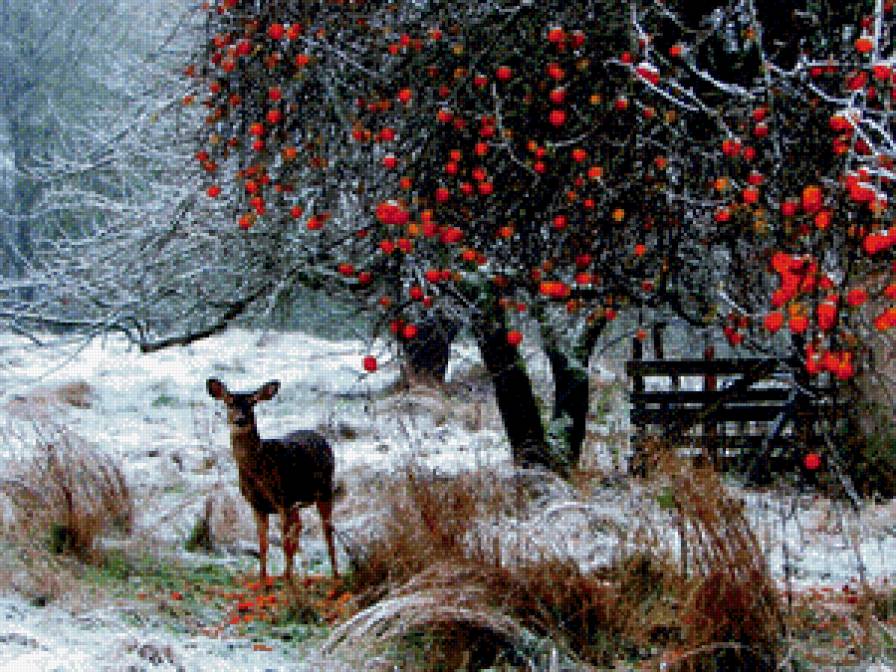 Олешек - зима, яблоки, олень - предпросмотр