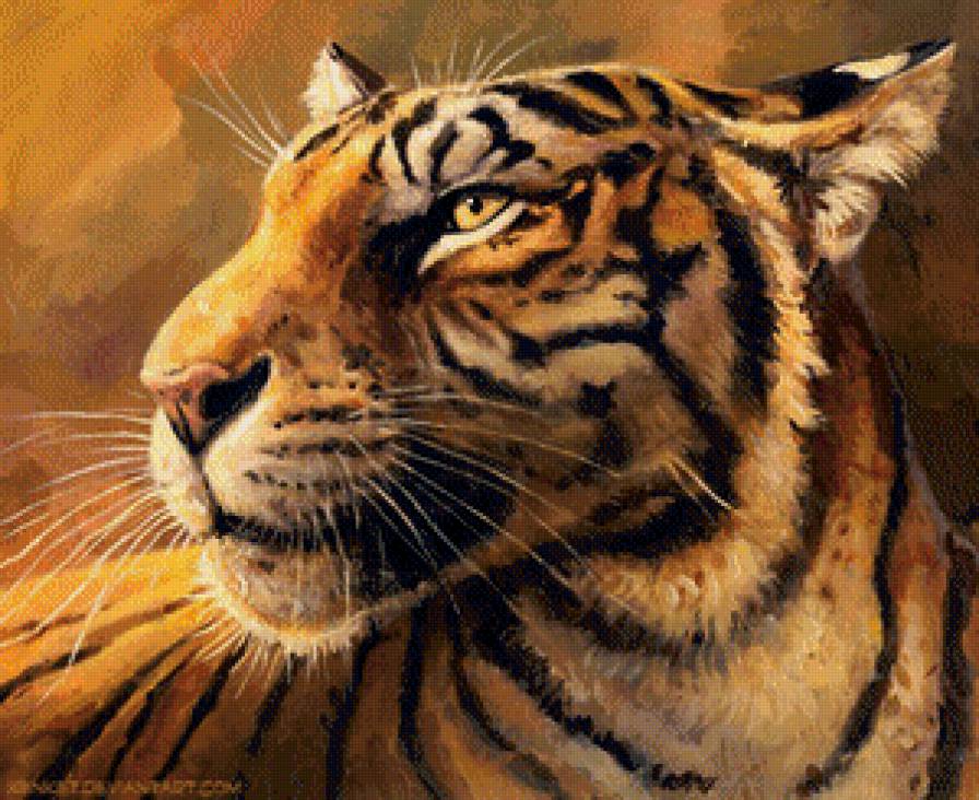 Тигр - животные, хищник, тигр - предпросмотр