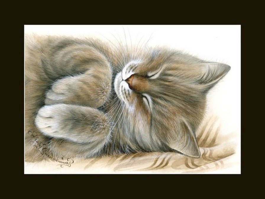 сонька - котики, коты, кот - оригинал