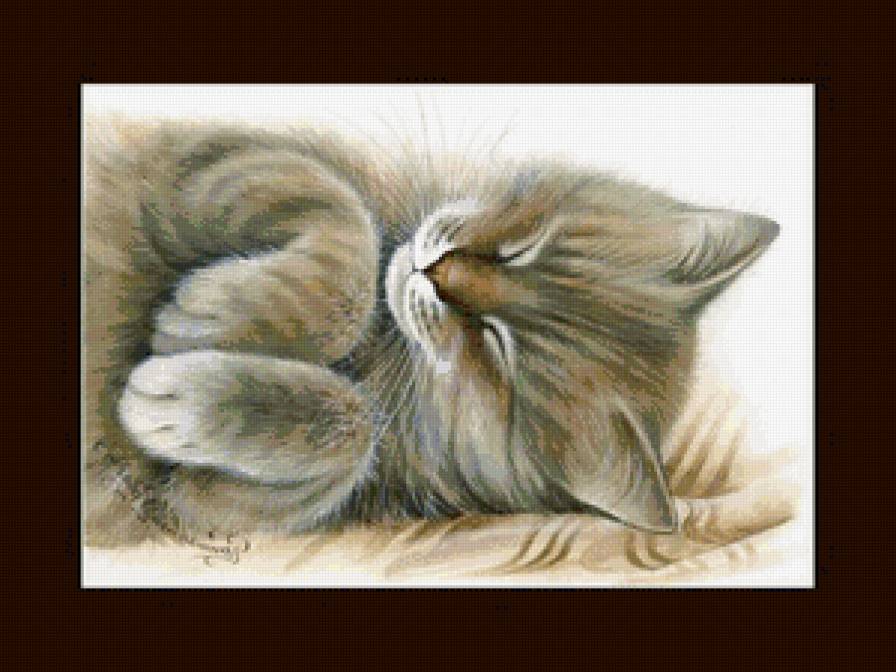 сонька - кот, коты, котики - предпросмотр