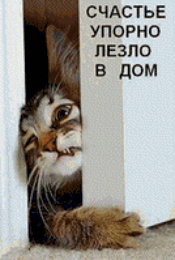 А счастье упорно лезло в дом - котик, счастье - предпросмотр