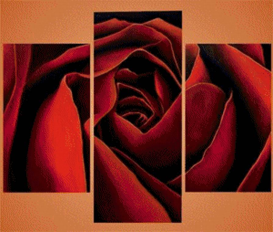 триптих - роза, цветы - предпросмотр